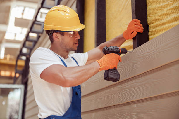 Affordable Siding Repair and Maintenance Services in Wanamingo, MN